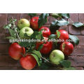 Green Gala apple supplier New Season Fresh Royal Gala Apples